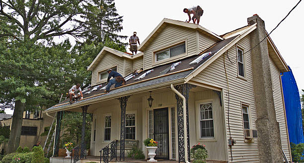 Best Roof Gutter Cleaning  in Arthur, IL